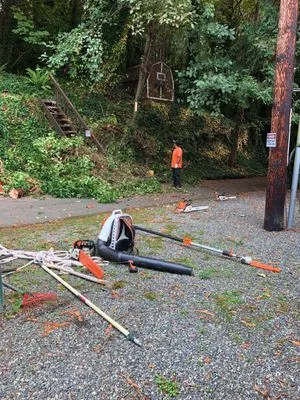 Promised Landscaping Logo