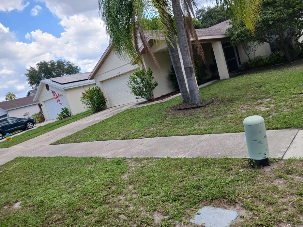 Expert lawn care service experts serving Tampa, FL - Promos Lawn Care