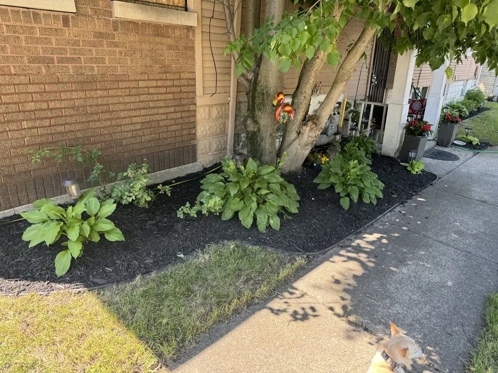 Affordable landscaping services experts serving Buffalo, NY - PromotePositivity landscaping