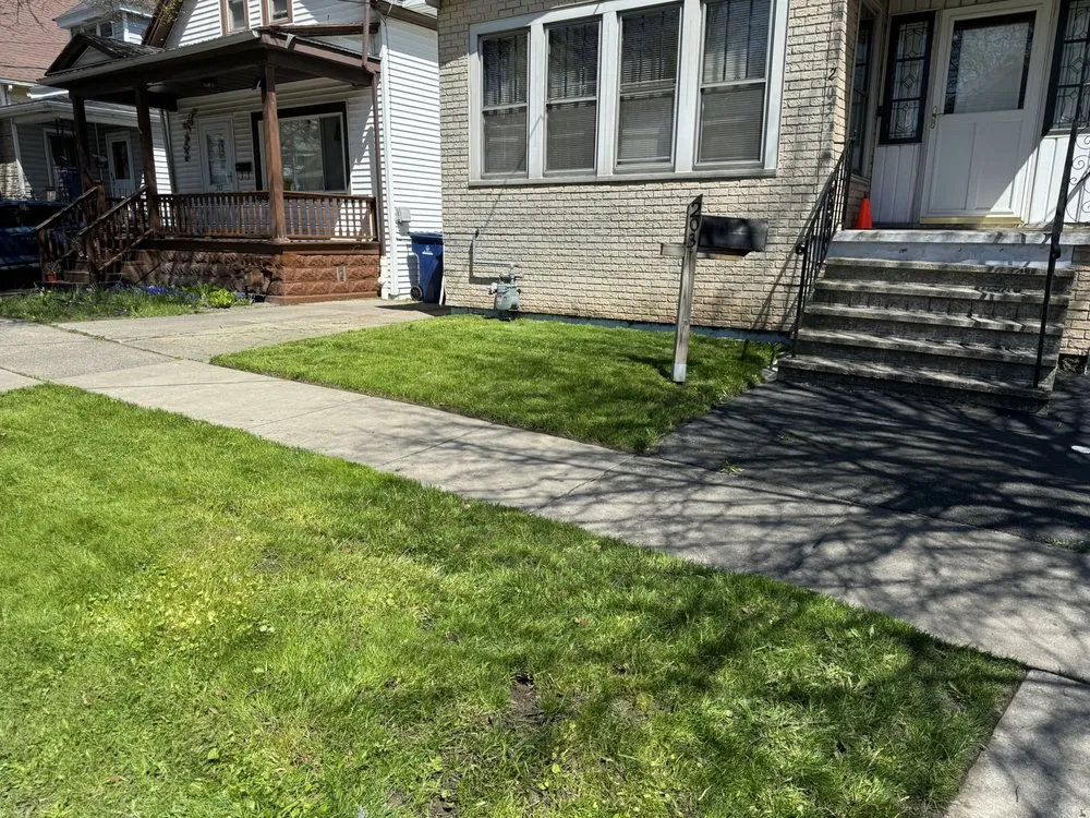 Trusted yard cleanup service experts serving Buffalo, NY - PromotePositivity landscaping