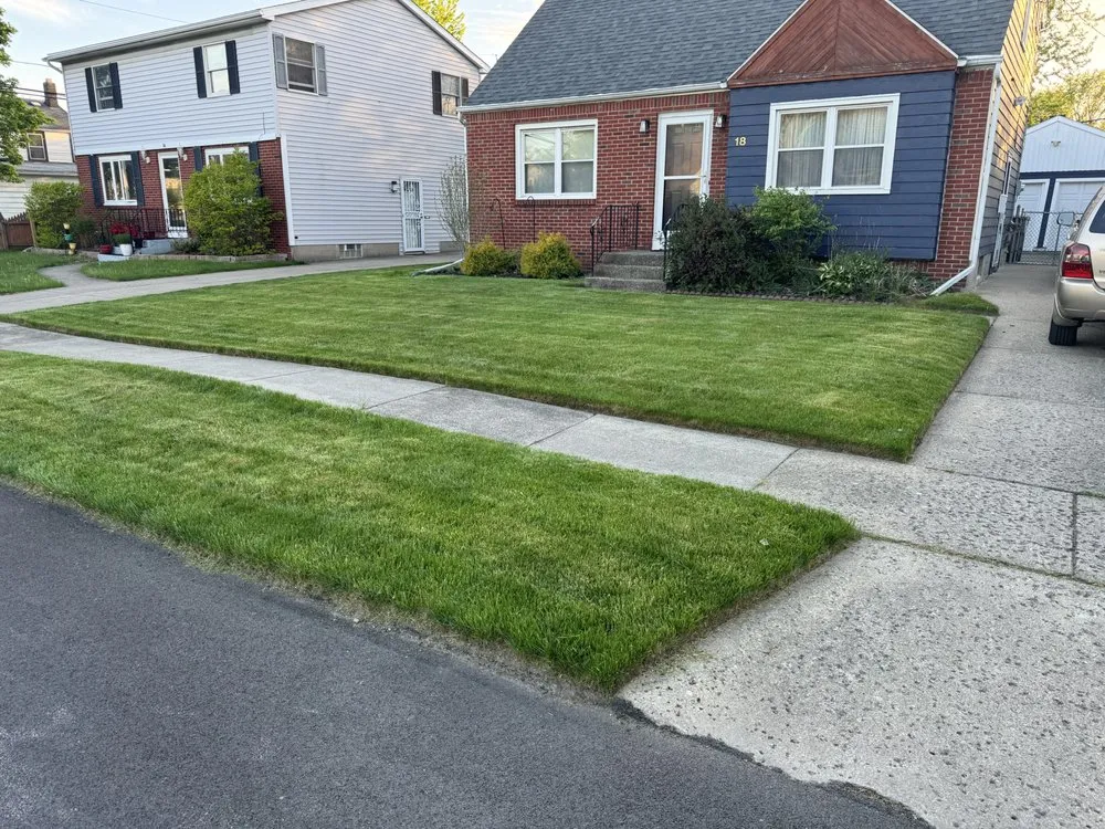 Affordable outdoor landscaping in Buffalo, NY - PromotePositivity landscaping