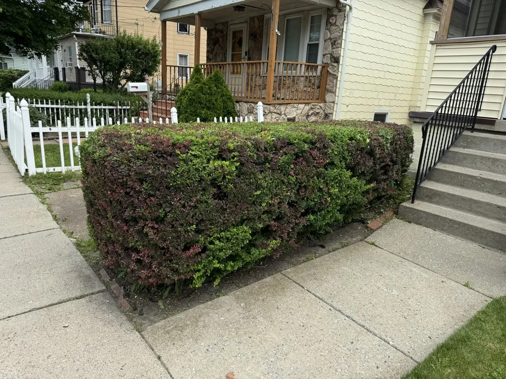 Reliable landscape installation in Buffalo, NY by PromotePositivity landscaping