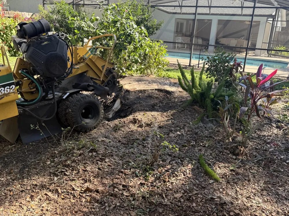 Top-rated landscaping services for year-round maintenance across Saint Cloud, FL - Promow By Jack Olive