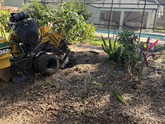 Promow By Jack Olive