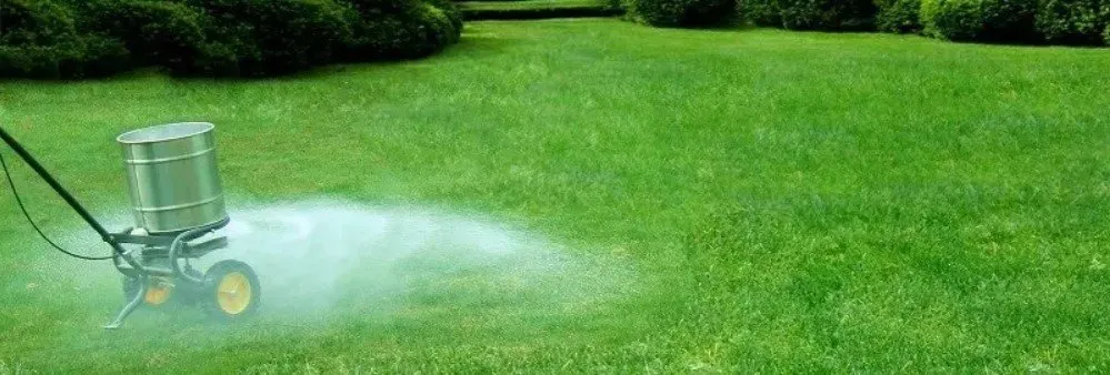 Reliable landscaping services experts serving Pace, FL - ProMow Lawn & Landscape