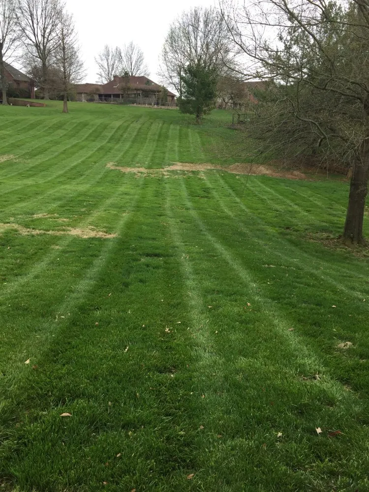 Reliable lawn mowing service in Cape Girardeau, MO - ProMow Lawn Service .