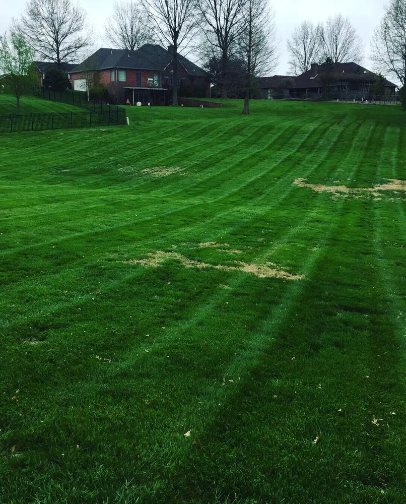 Trusted lawn care service for outdoor upgrades across Cape Girardeau, MO - ProMow Lawn Service .