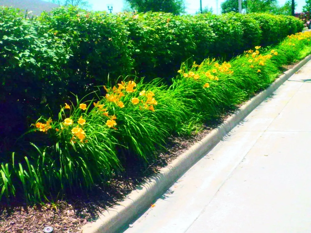 Local lawn care service for year-round maintenance in Fulton, MO by Promow Turf Management & Landscaping