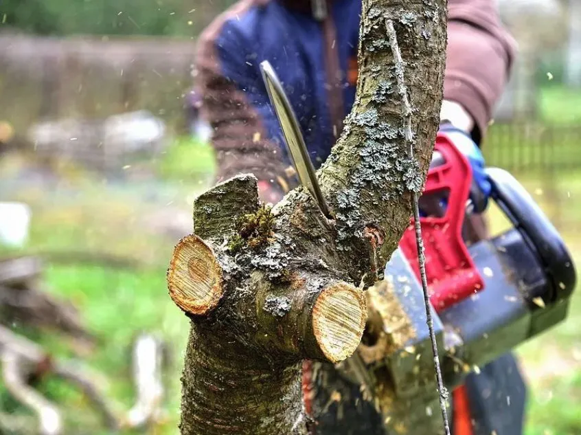 Top-rated landscape installation in Hanover, PA by Prompt Lawncare