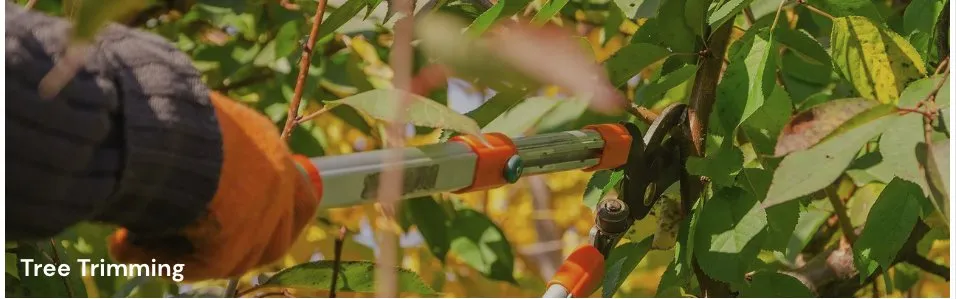 Reliable yard maintenance for beautiful yards across Hanover, PA - Prompt Lawncare