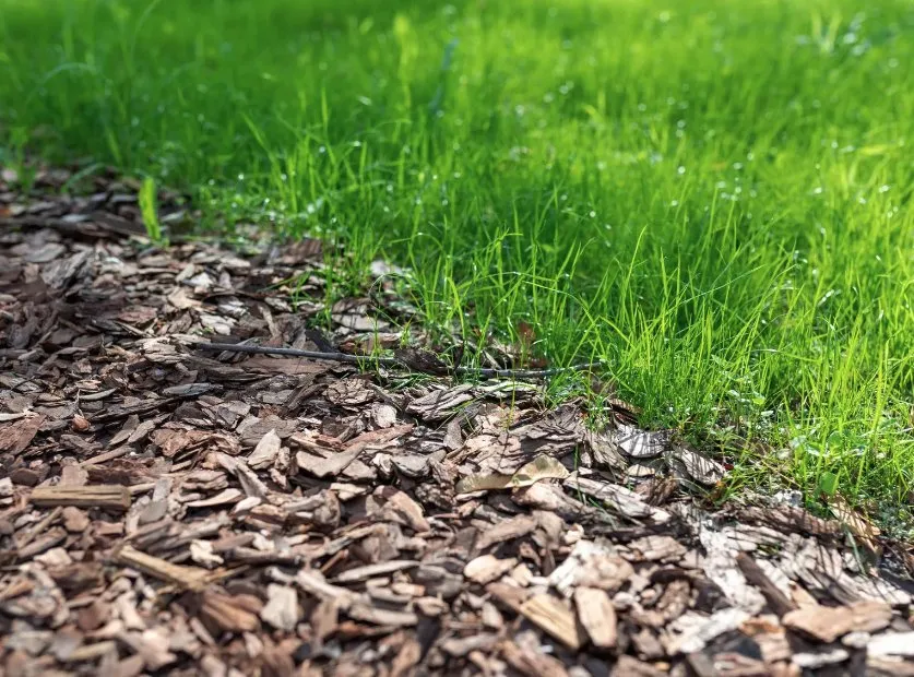 Affordable residential landscaping in Hanover, PA by Prompt Lawncare