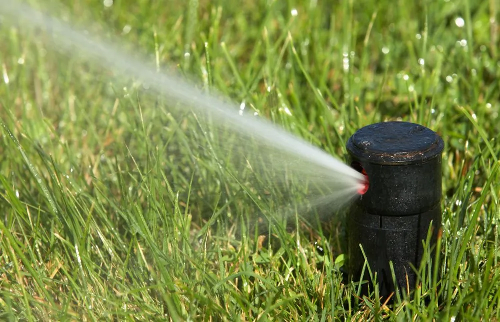Reliable landscaping services experts serving Fountain City, WI - Pronschinske