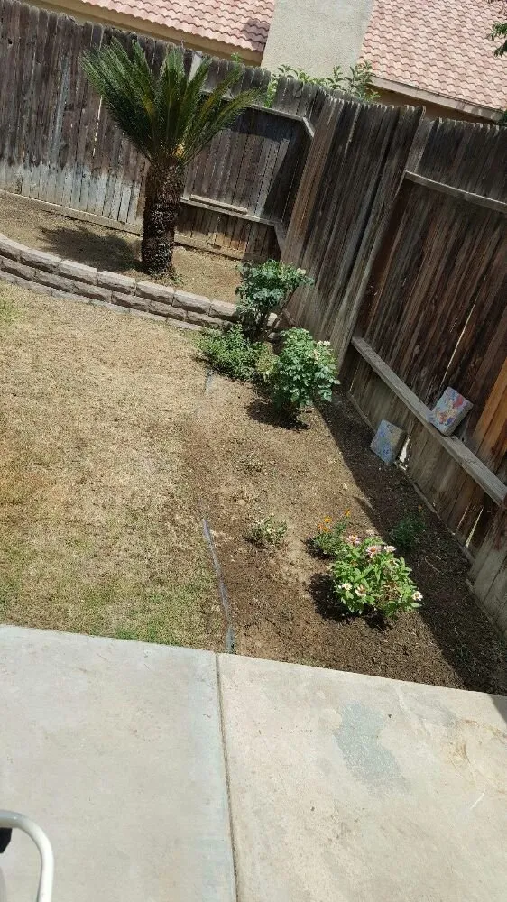 Reliable landscape design experts serving Bakersfield, CA - Pronto Gardening