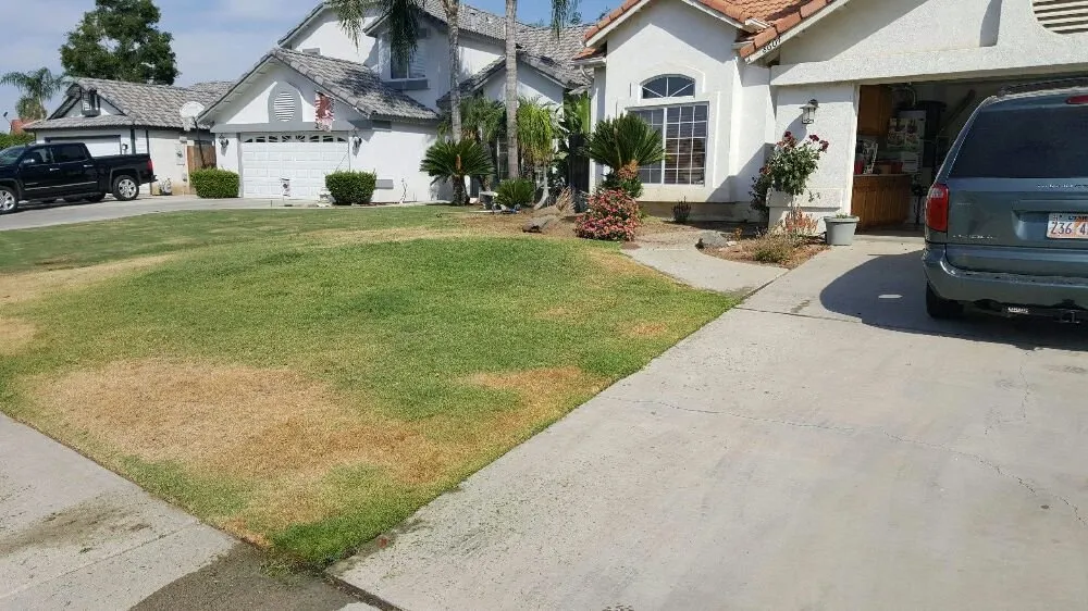Expert residential landscaping in Bakersfield, CA by Pronto Gardening
