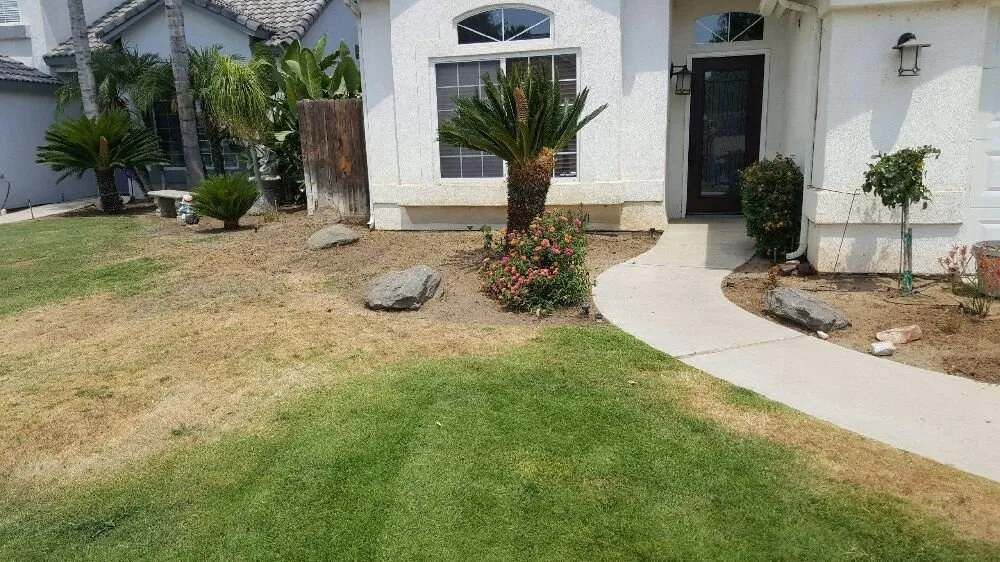 Reliable yard maintenance near you in Bakersfield, CA by Pronto Gardening