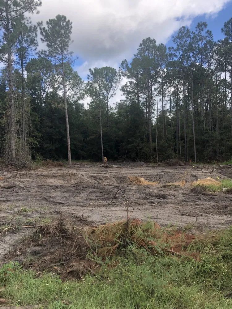 Affordable lawn care service experts serving Ocala, FL - Pronto Land Clearing