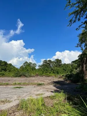 Pronto Land Clearing Logo