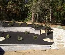 Reliable yard cleanup service experts serving Line Lexington, PA - Propato