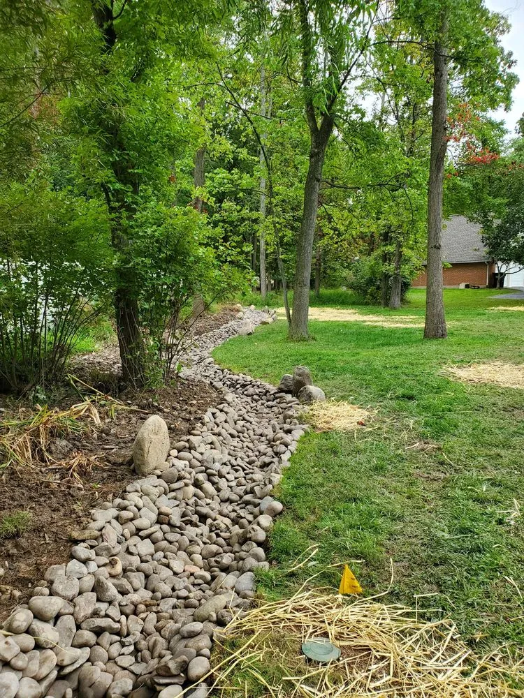 Expert yard cleanup service experts serving Line Lexington, PA - Propato