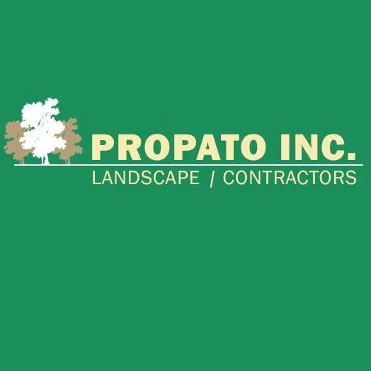 Professional landscaping services for beautiful yards in Line Lexington, PA by Propato
