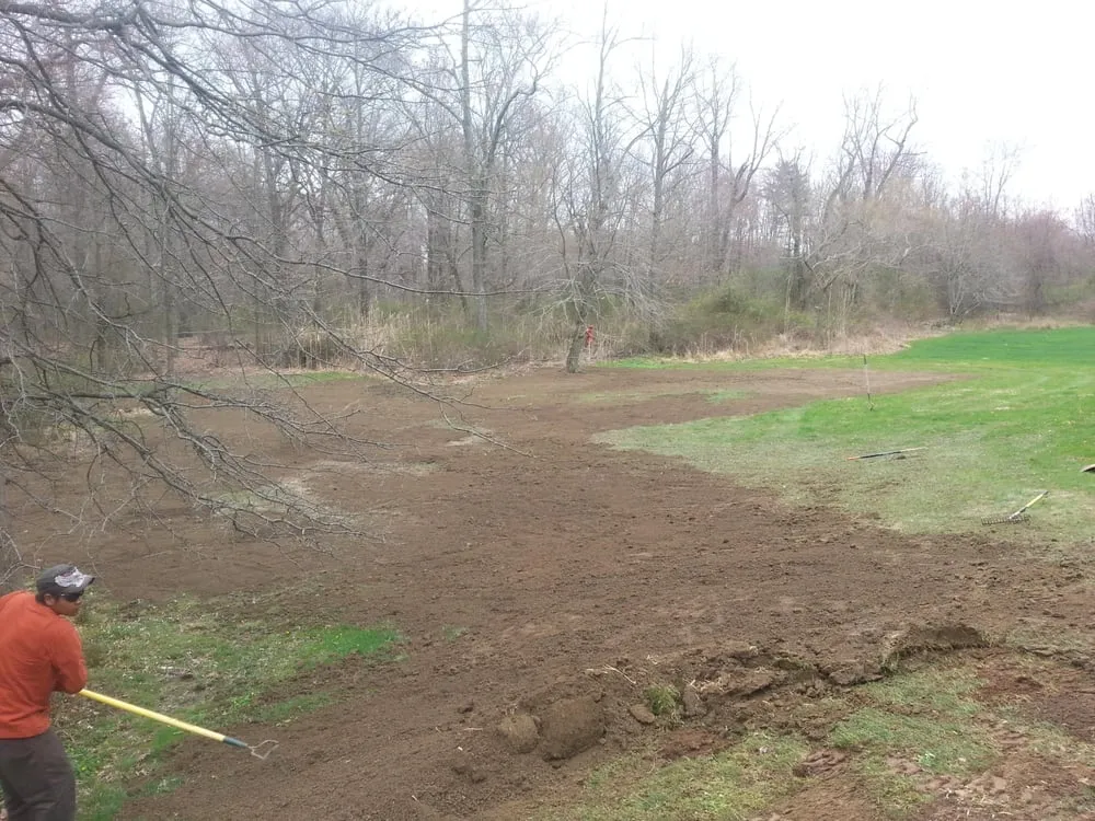 Local yard cleanup service in Line Lexington, PA - Propato