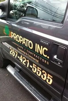 Reliable yard cleanup service experts serving Line Lexington, PA - Propato