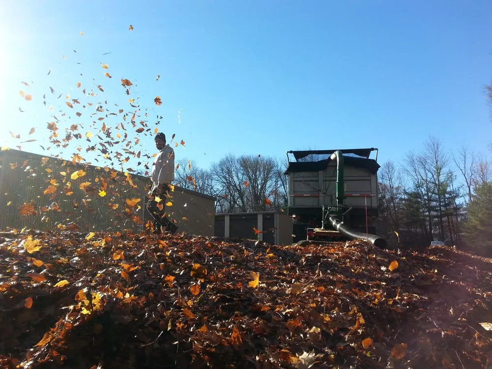 Professional lawn care service experts serving Line Lexington, PA - Propato
