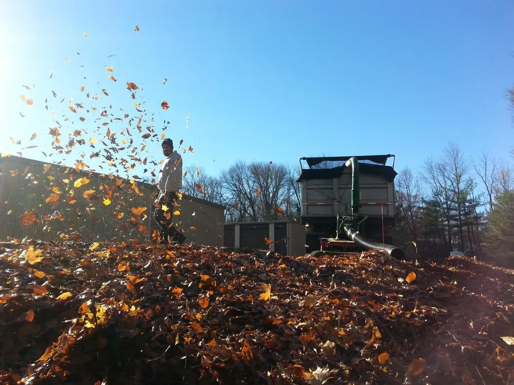 Professional residential landscaping experts serving Line Lexington, PA - Propato