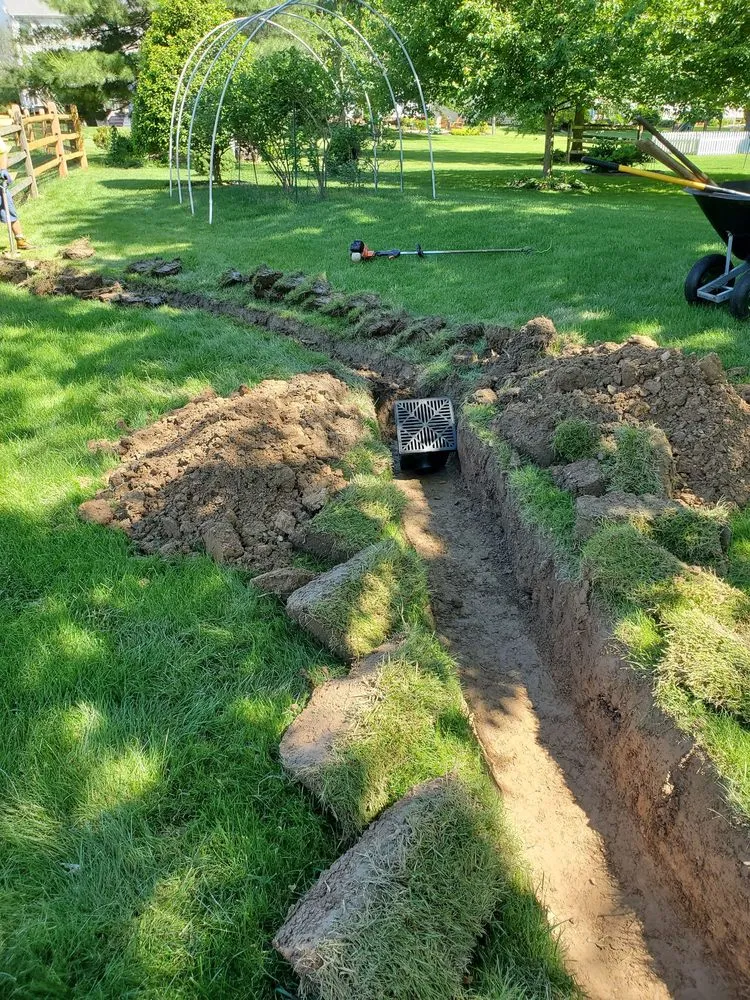 Local yard cleanup service in Line Lexington, PA by Propato