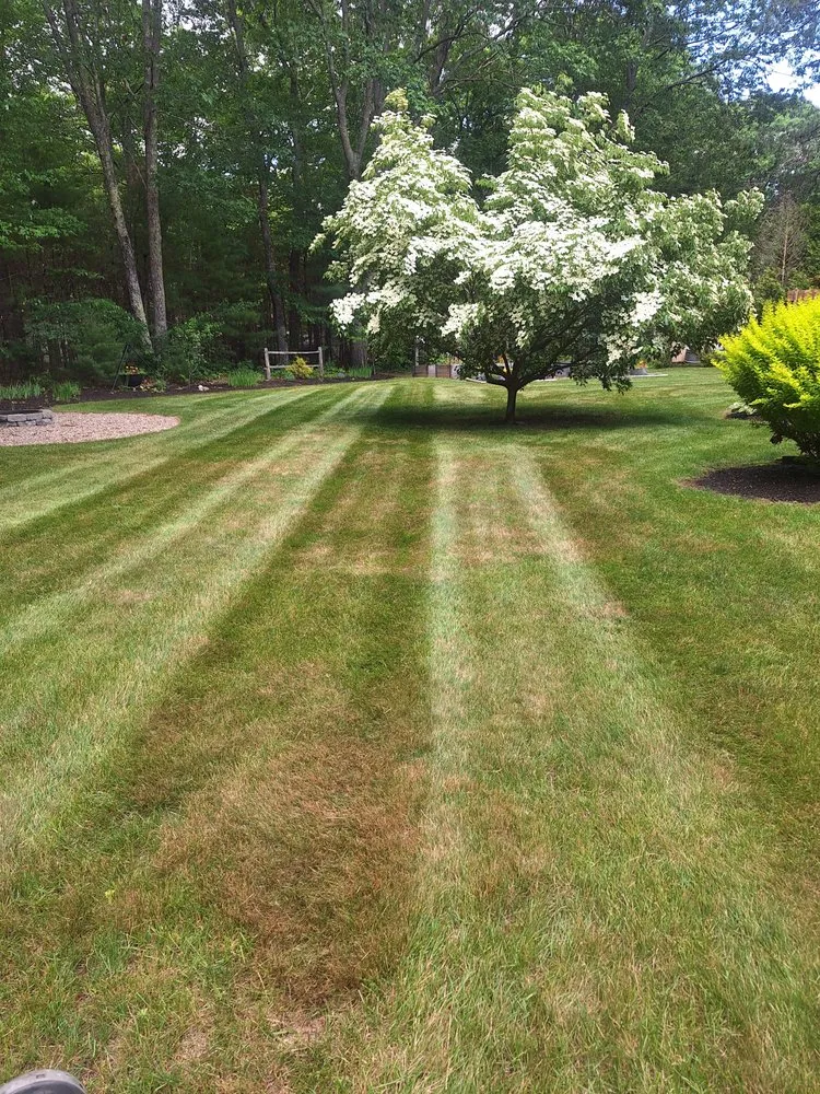Reliable residential landscaping in Sanford, ME by Proper Cut Landscapes