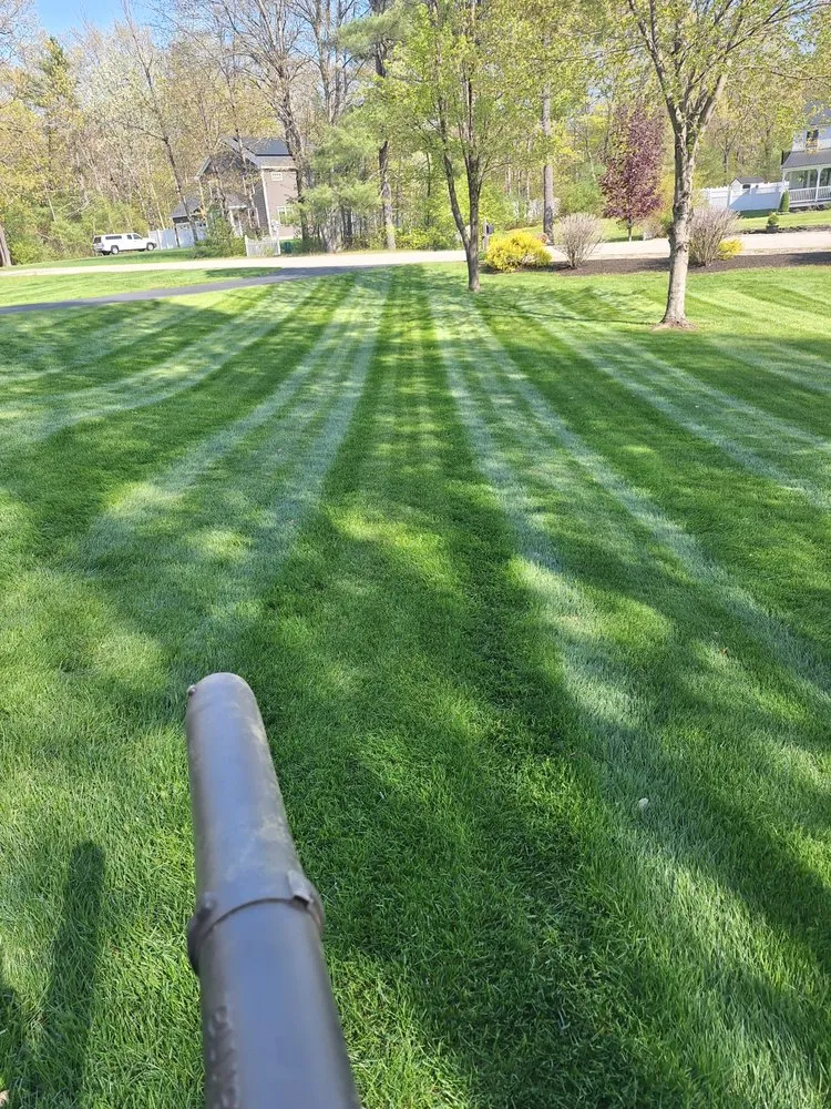 Professional yard cleanup service in Sanford, ME - Proper Cut Landscapes