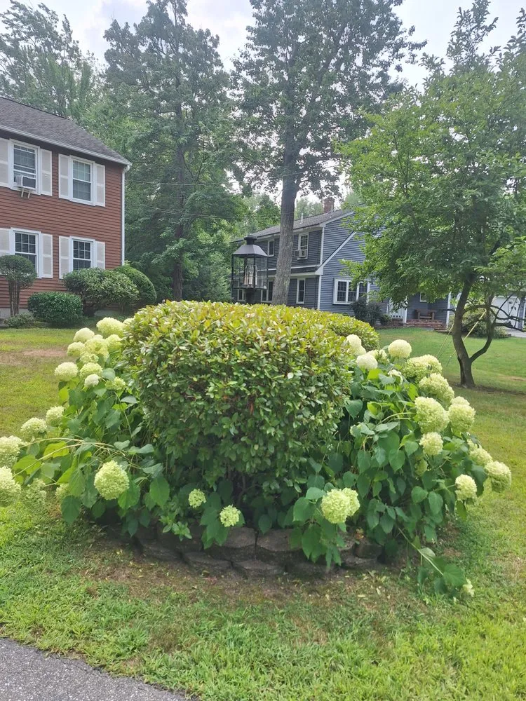 Custom yard cleanup service for beautiful yards across Sanford, ME - Proper Cut Landscapes