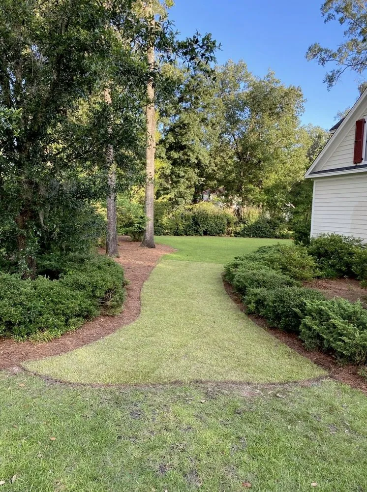 Reliable yard cleanup service near you in Charleston, SC by Proper Grounds Landscape Solutions