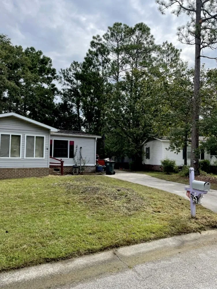 Custom yard cleanup service experts serving Charleston, SC - Proper Grounds Landscape Solutions