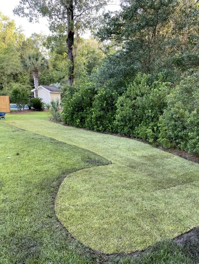 Custom landscape design in Charleston, SC by Proper Grounds Landscape Solutions