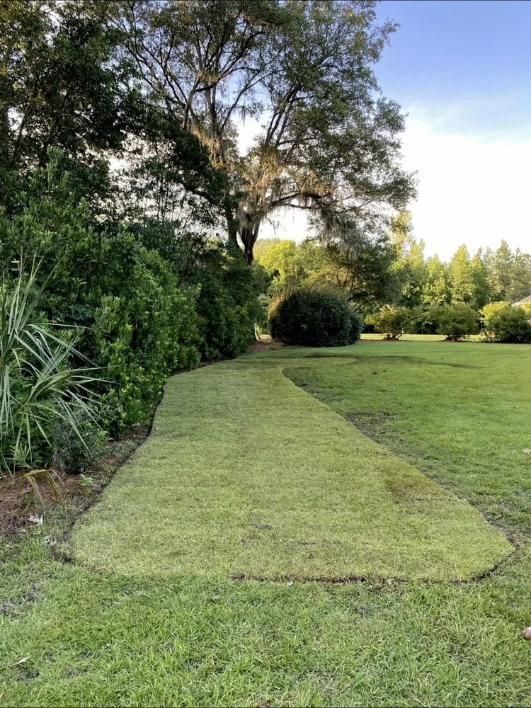 Affordable yard cleanup service experts serving Charleston, SC - Proper Grounds Landscape Solutions