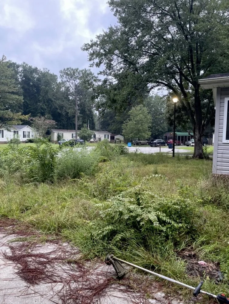 Reliable landscape installation in Charleston, SC by Proper Grounds Landscape Solutions