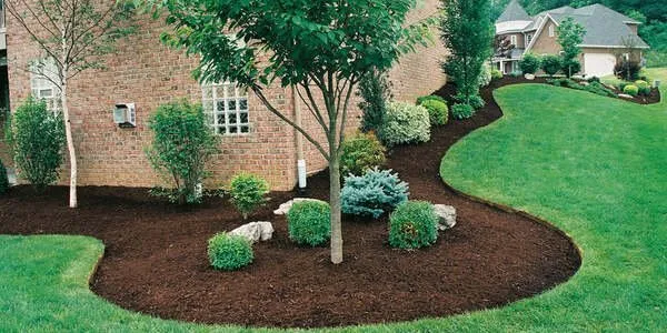 Local yard maintenance in Overland Park, KS by Proper Lawn Care