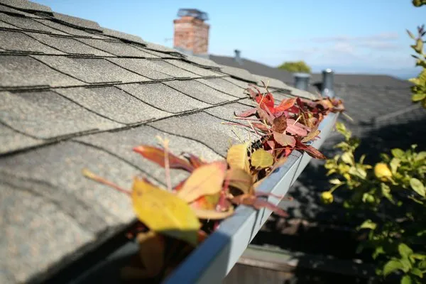 Top-rated outdoor landscaping experts serving Overland Park, KS - Proper Lawn Care