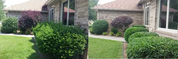 Top-rated landscaping services in Overland Park, KS by Proper Lawn Care