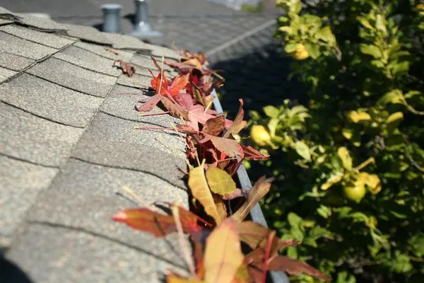 Expert yard maintenance experts serving Overland Park, KS - Proper Lawn Care