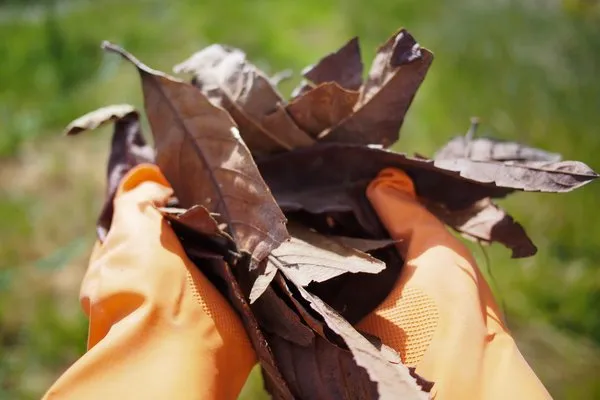 Expert outdoor landscaping in Overland Park, KS - Proper Lawn Care