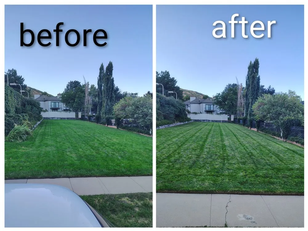 Trusted landscaping services experts serving West Valley City, UT - Proper Lawn Mowing
