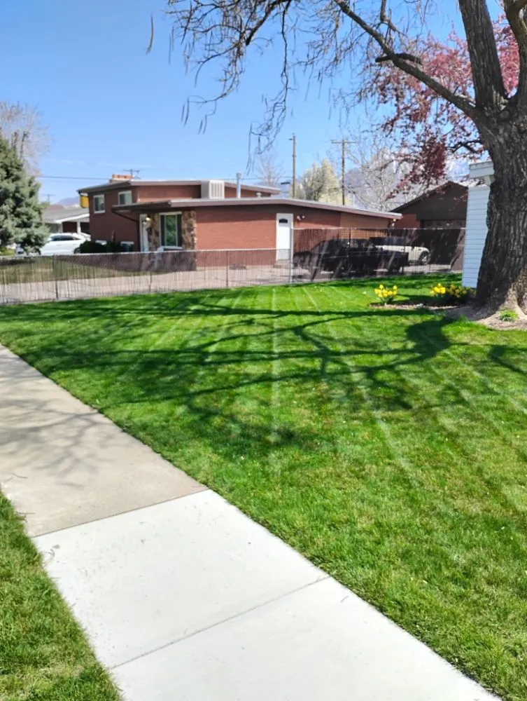 Trusted lawn mowing service in West Valley City, UT by Proper Lawn Mowing