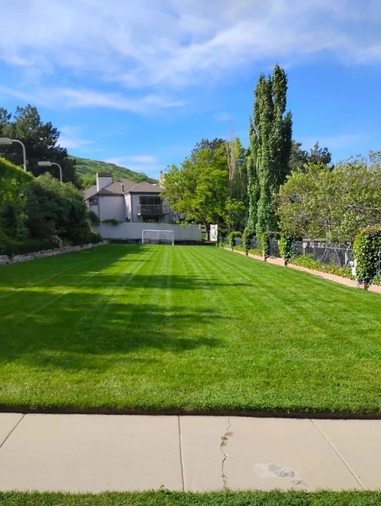 Trusted lawn mowing service for homes in West Valley City, UT by Proper Lawn Mowing