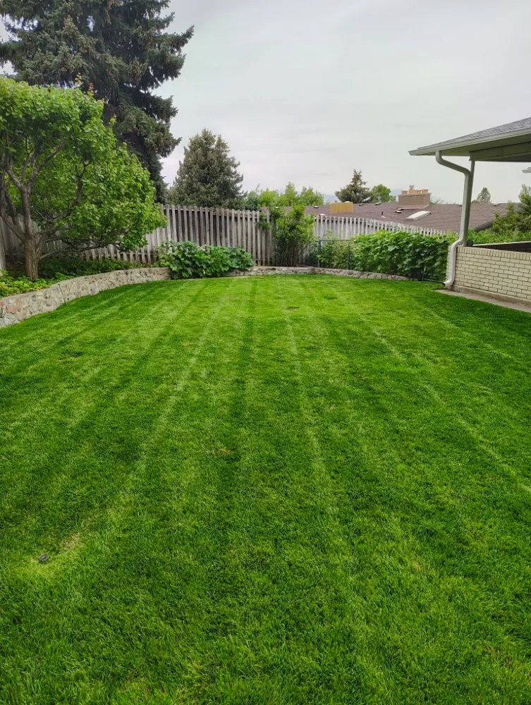 Local yard cleanup service for outdoor upgrades across West Valley City, UT - Proper Lawn Mowing