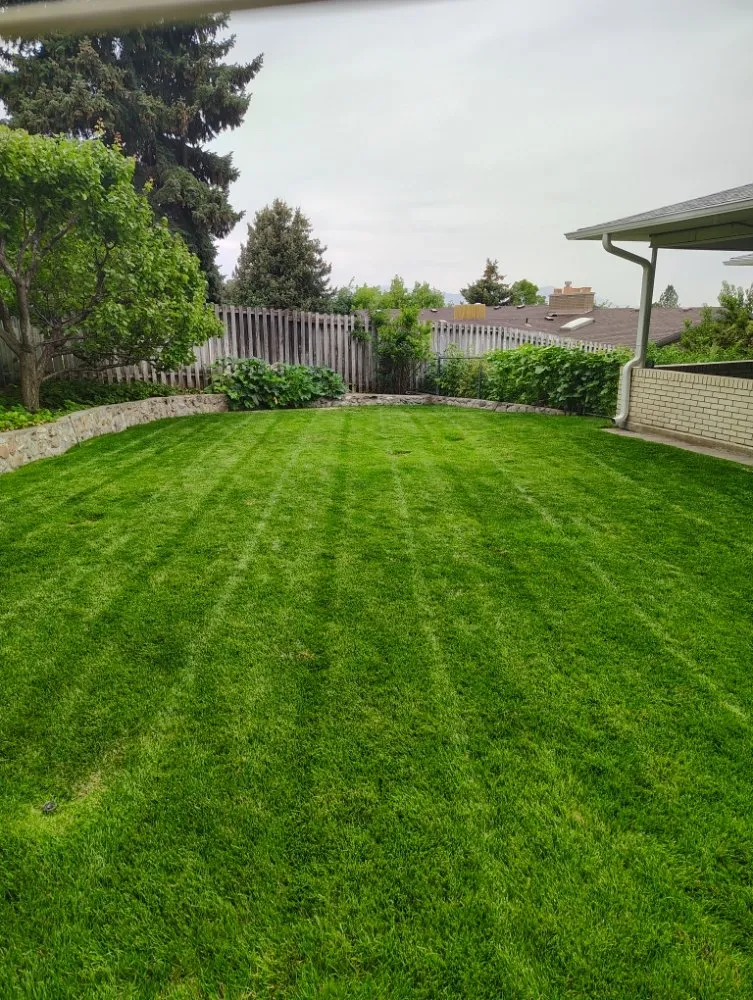 Affordable lawn mowing service for outdoor upgrades across West Valley City, UT - Proper Lawn Mowing