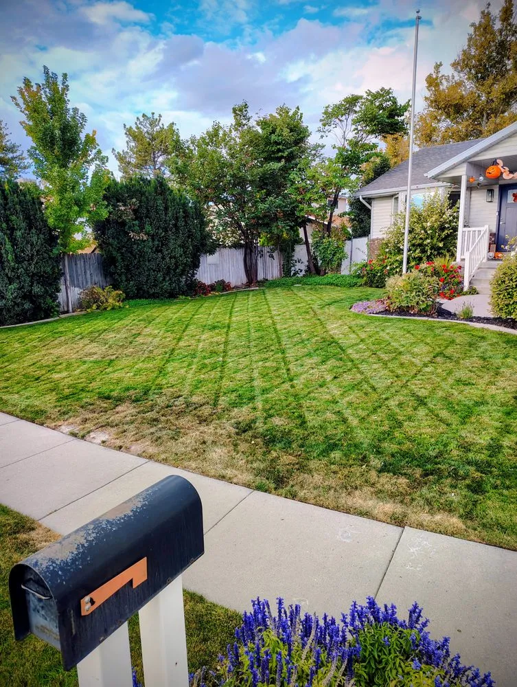 Expert yard cleanup service for beautiful yards in West Valley City, UT by Proper Lawn Mowing