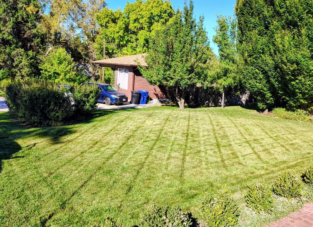 Affordable landscape design in West Valley City, UT - Proper Lawn Mowing