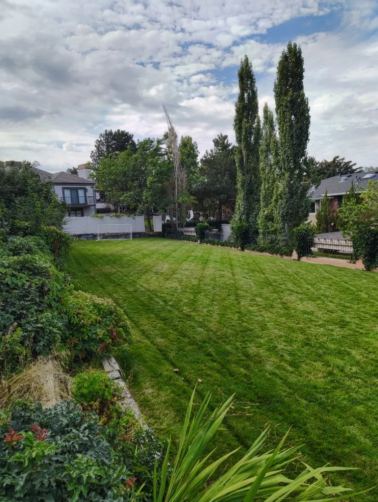 Custom lawn mowing service in West Valley City, UT - Proper Lawn Mowing